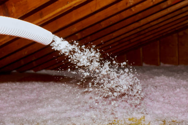 Best Energy Efficiency Solutions in Johnston, IA