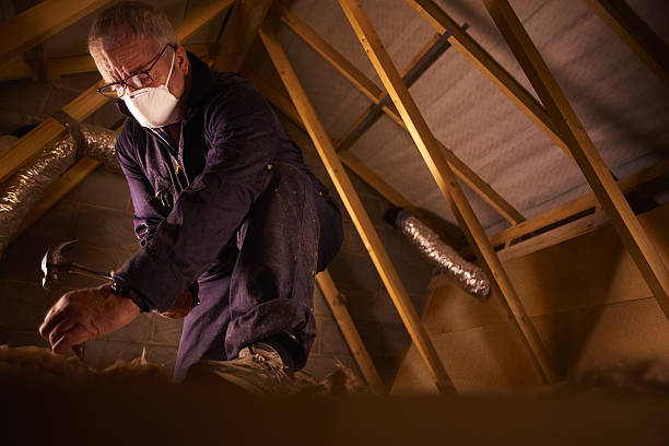 Best Residential Insulation in Johnston, IA